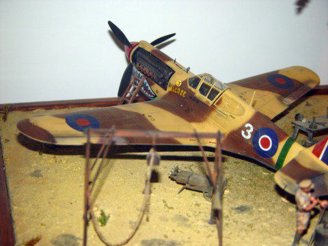 P40.jpg